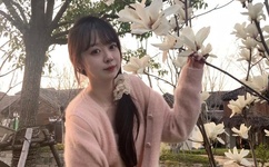 强轮在线观看视频